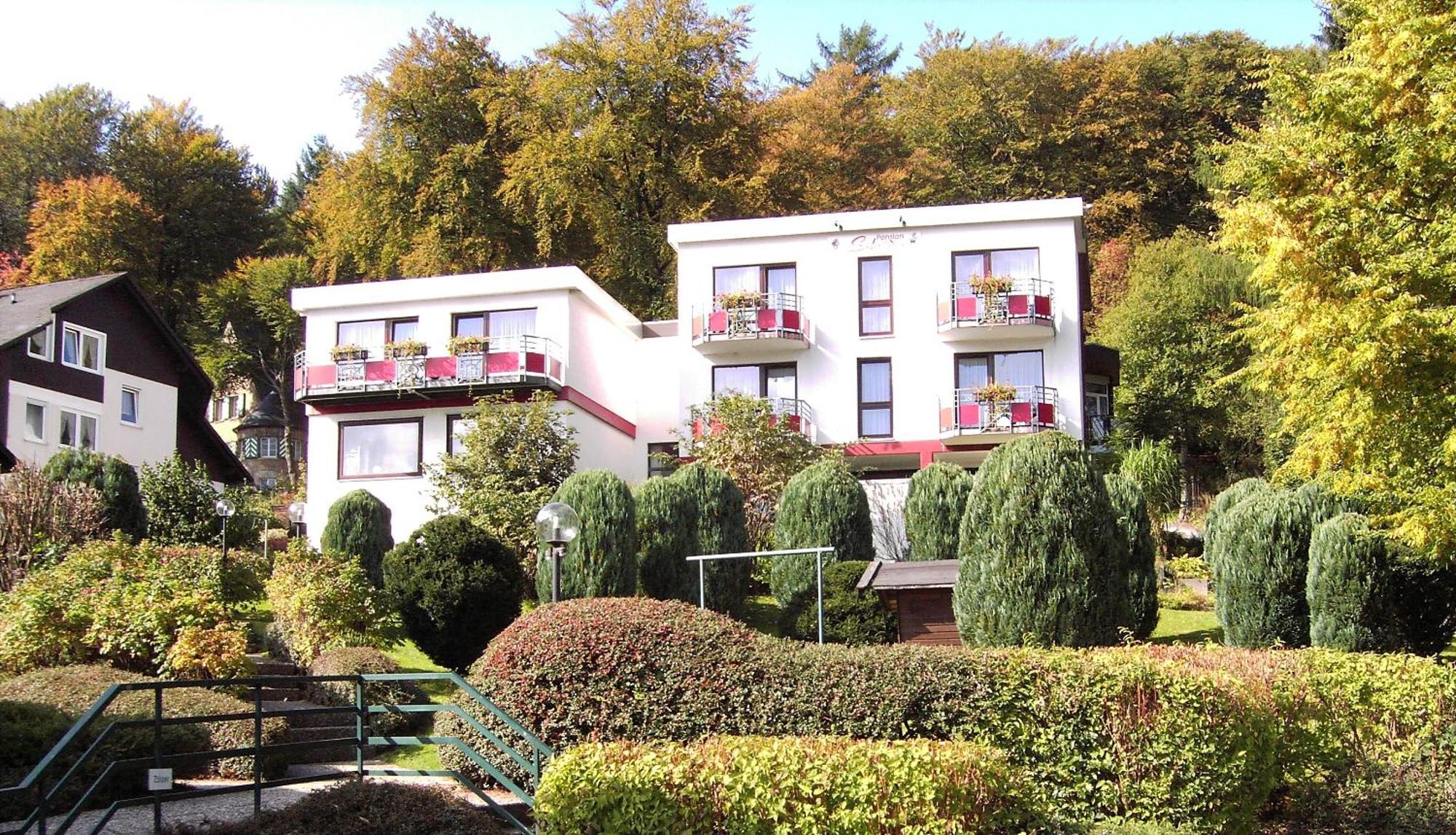 Hotelpension Schroeder Willingen  Ngoại thất bức ảnh